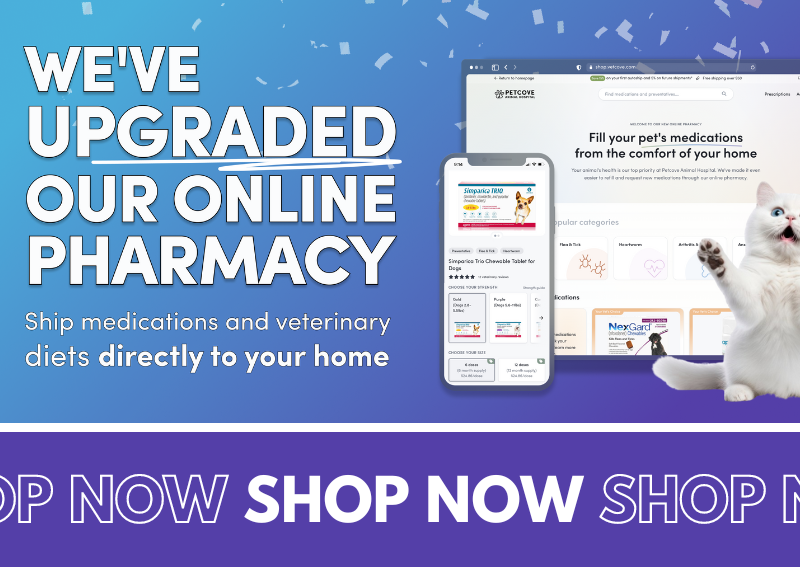 Carousel Slide 1: Check out our new and improved online pet pharmacy!
